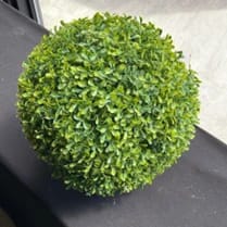 BOLA